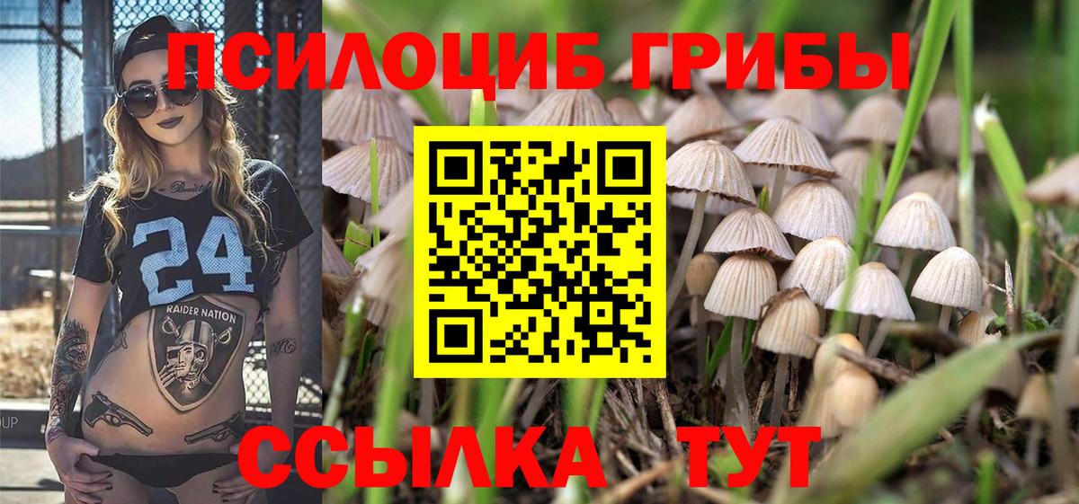 Псилоцибиновые грибы мицелий  Вход с VPN  где купить наркоту  Новочеркасск 